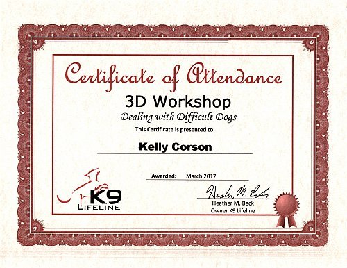 K9 Lifeline 3D Workshop Certificate